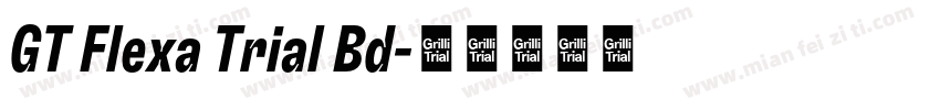 GT Flexa Trial Bd字体转换